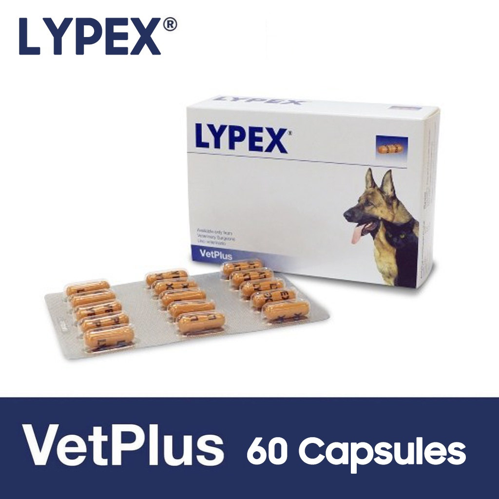 Vetplus LYPEX อาหารเสริม เอนไซม์ย่อยอาหาร สําหรับสุนัขและแมว 60 แคปซูล