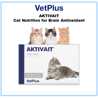 [VetPlus] Aktivait โภชนาการแมว สําหรับสมอง ต้านอนุมูลอิสระ