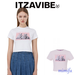 Itzavibe เสื้อยืดครอป ลายแมวสามตัว