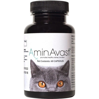 [AminAvast] Natural Kidney Support for Dogs &amp; Cats(60 Capsules) / อาหารเสริมใหม่เพื่อช่วยสนับสนุนการทำงานของไตตามธรรมชาติ