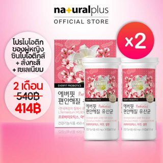 Naturalplus Korea x2 Everfit Comforting Vaginal Probiotics for Women โปรไบโอติก ช่องคลอด 2 แคปซูล 60 แคปซูล สไตล์เกาหลี สําหรับผู้หญิง