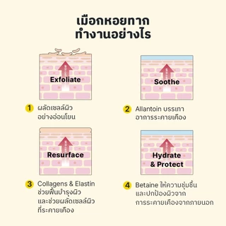 [COSRX OFFICIAL] Advanced Snail 96 Mucin Power Essence 30ml แอดวานซ์ สเนล 96 มิวซิน เพาเวอร์ เอสเซนส์ 30 มล.
