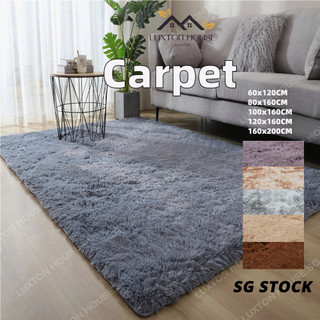 {SG} Ultra Soft Luxury Fluffy Shag Area Rug for Living Room Floor Carpet Modern Indoor Home Livingroom Bedroom