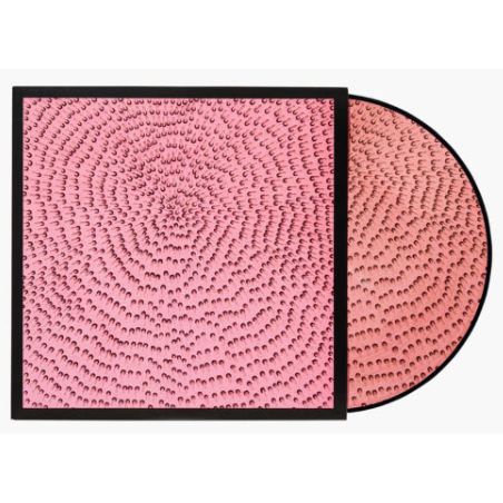 K-POP BLACKPINK LP (Jisoo Jennie Rosé Lisa) x JENNIFER GUIDI [500 แผ่นภาพสีรุ่นลิมิเต็ดที่หายากมาก]
