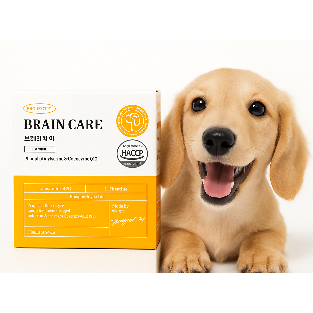 [ของแท้เกาหลี] Project21 Brain Care | อาหารเสริมสนับสนุนองค์ความรู้สุนัข | Phosphatidylserine + CoQ1