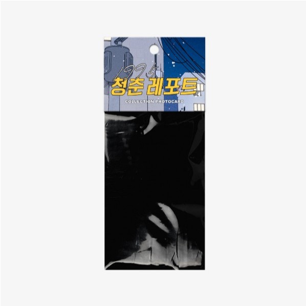 1995 Youth Report Collection Photo Cards