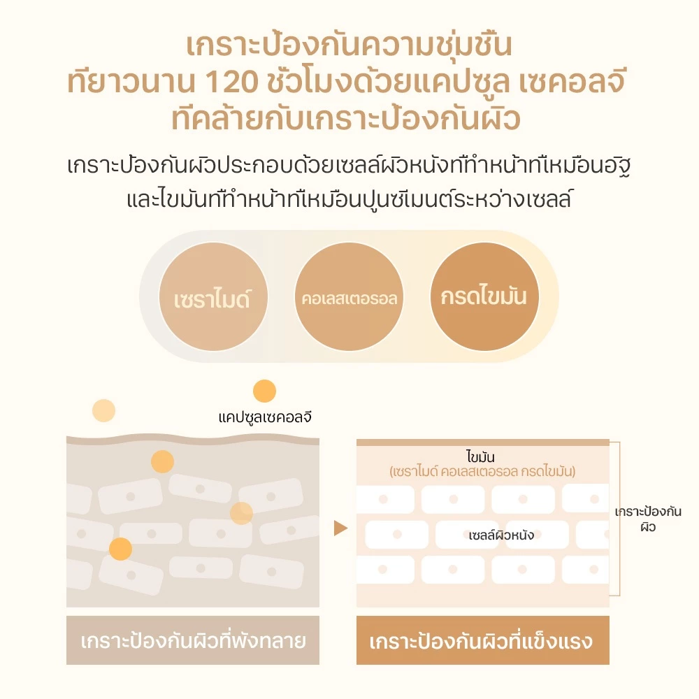 FULLY Rice Ceramide Capsule Cream 90ml thumbnail 6