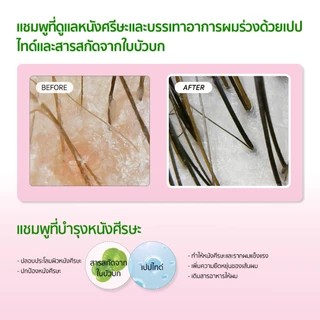 SOME BY MI Cica Peptide Anti Hair Loss Derma Scalp Treatment [50ml], ทรีตเมนต์บำรุงผมใน 3 นาที, ดูแลโภชนาการเส้นผม