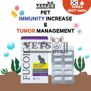 [Dr.Ray] Fucoica - Immune booster สําหรับสัตว์เลี้ยง (60 แคปซูล/1 แพ็ก) อาหารเสริม FUCOIDAN 100% สําหรับสัตว์เลี้ยง สุนัข แมว
