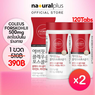 Naturalplus Korea x2 Everfit Coleus Forskohlii พร้อมวิตามินบี 3 ชิ้น เพื่อสุขภาพ จัดการน้ําหนัก 120 เม็ด