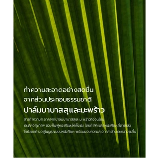 [NARD] แชมพู สําหรับทุกสภาพผม 500 มล. /1000 มล. - ทําความสะอาดหนังศีรษะอย่างล้ําลึก สดชื่น
