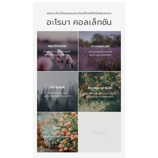 [NARD] แชมพู สําหรับทุกสภาพผม 500 มล. /1000 มล. - ทําความสะอาดหนังศีรษะอย่างล้ําลึก สดชื่น