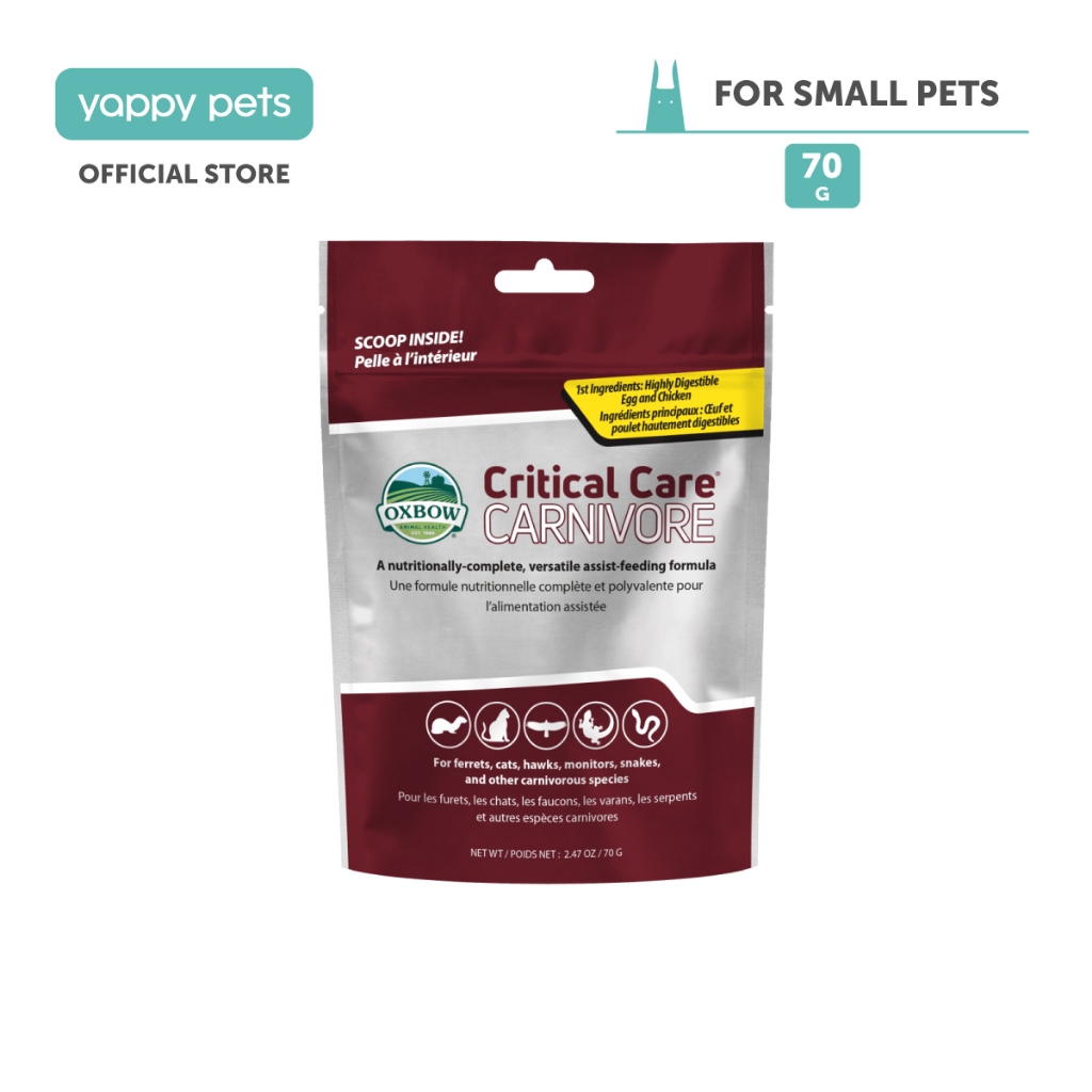 Oxbow Critical Care Carnivore Small Animal Recovery Food 70g | Chinchillas Rats Gerbils หนูแฮมสเตอร์
