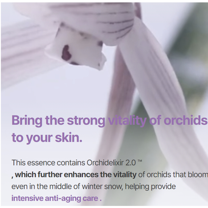 อินนิสฟรี เชจู ออร์คิด เอนริช เอสเซ้นส์ / innisfree Jeju Orchid Enriched Essence (2023 AD) ราคา ถูกที่สุด โปรบีเคเค แกลเลอรีภาพที่ 4