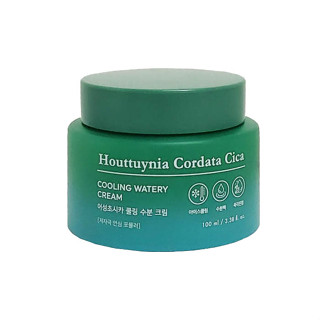 [TONYMOLY] Houttuynia Cordata Cica คูลลิ่งครีม 100 มล.