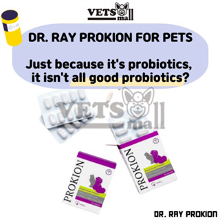 [Dr.Ray] Prokion - อาหารเสริมโปรไบโอติก สําหรับสัตว์เลี้ยง (ซอฟเจล 30 ชิ้น / 1 กล่อง) อาหารเสริมแลคโตบาซิลลัส สําหรับสัตว์เลี้ยง