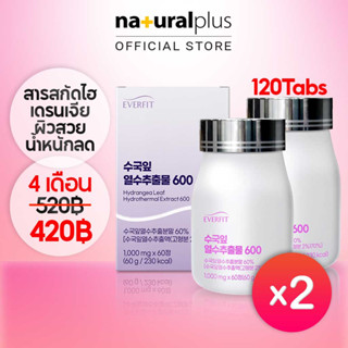 Naturalplus Korea x2 Everfit Hydrangea Leaf Hydrothermal Extract 600, 120 เม็ด สำหรับความงามของผิวหนังและการสูญเสียไขมันในร่างกาย