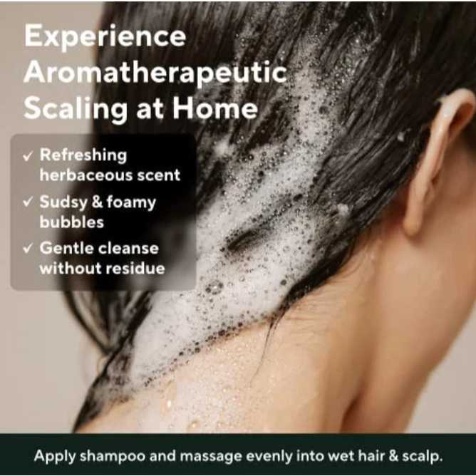 [AROMATICA] Rosemary Scalp Scaling Vegan Shampoo, Treatment, Scalp Scrub, Anti Hair Loss Tonic, Root Enhancer ราคา ถูกที่สุด ดีลบีเคเค แกลเลอรีภาพที่ 5