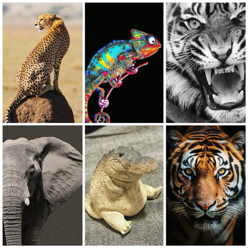 ANIMAL EZLINK CARD STICKER / LION TIGER STICKER CARD PROTECTOR / TOUCH N GO CARD STICKERS / CUSTOMIS