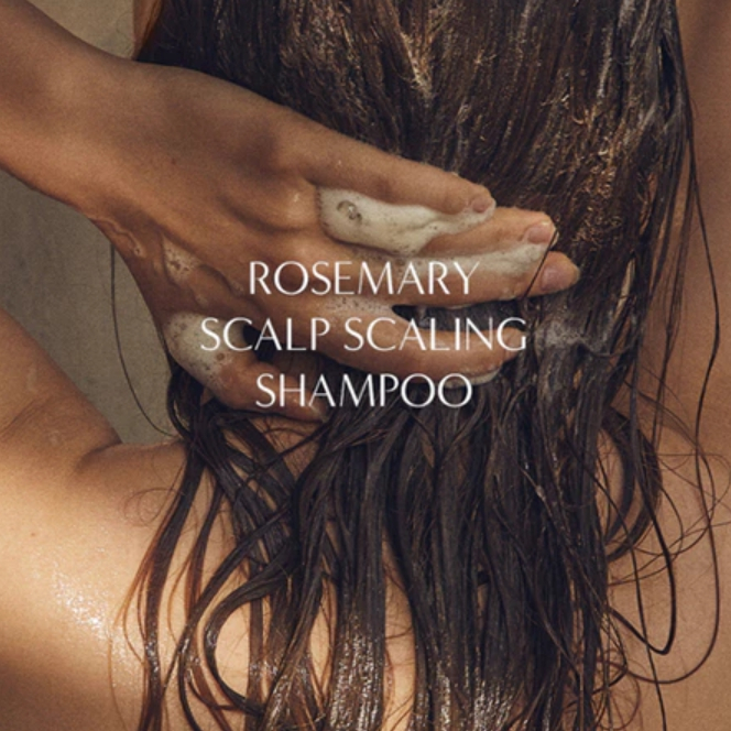 [AROMATICA] Rosemary Scalp Scaling Vegan Shampoo, Treatment, Scalp Scrub, Anti Hair Loss Tonic, Root Enhancer ราคา ถูกที่สุด ดีลบีเคเค แกลเลอรีภาพที่ 2