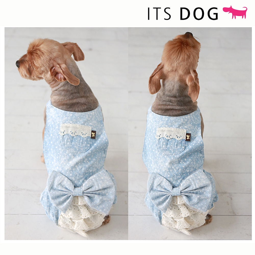 [เสื้อผ้าสุนัข ผลิตในเกาหลี] ITSDOG Sky Garden ALL-in-one