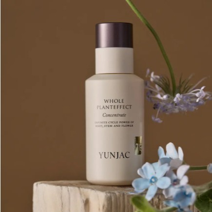 [YUNJAC] Whole Plant Effect Concentrate, 40ml