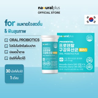 Naturalplus Korea Prodental Oral Probiotics Plus Mints โปรไบ…