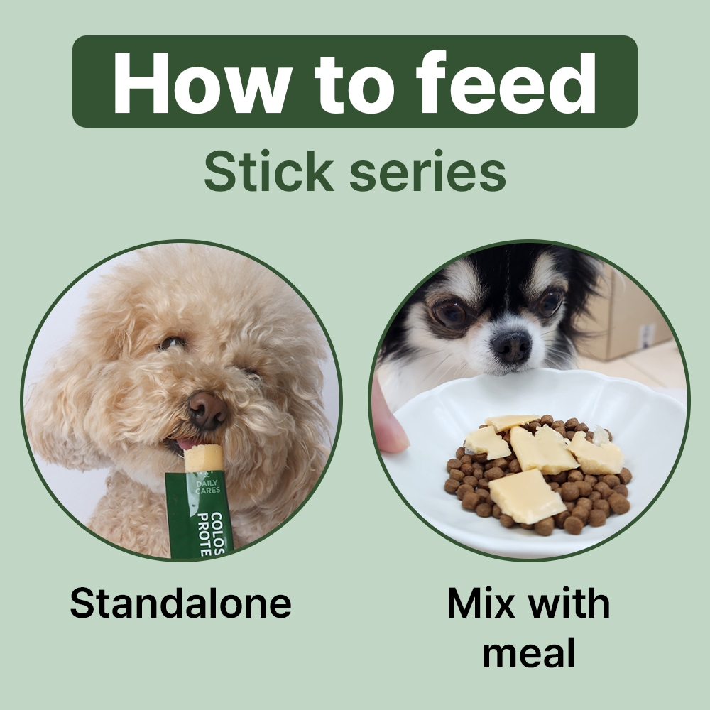 [Doctor By COLOSTRUM PROTEIN] การดูแลกล้ามเนื้อสุนัขและภูมิคุ้มกัน (30 แท่ง) - รูปที่ 6