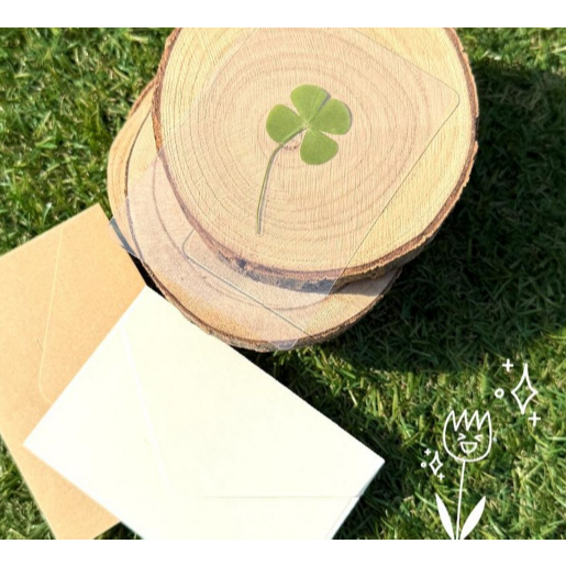 [DANBI Shop] Four leaf clover / ปลูกโดยตรงในเกาหลี / *สุขสันต์วันปีใหม่*/ รับฟรีเมื่อซื้อสินค้า