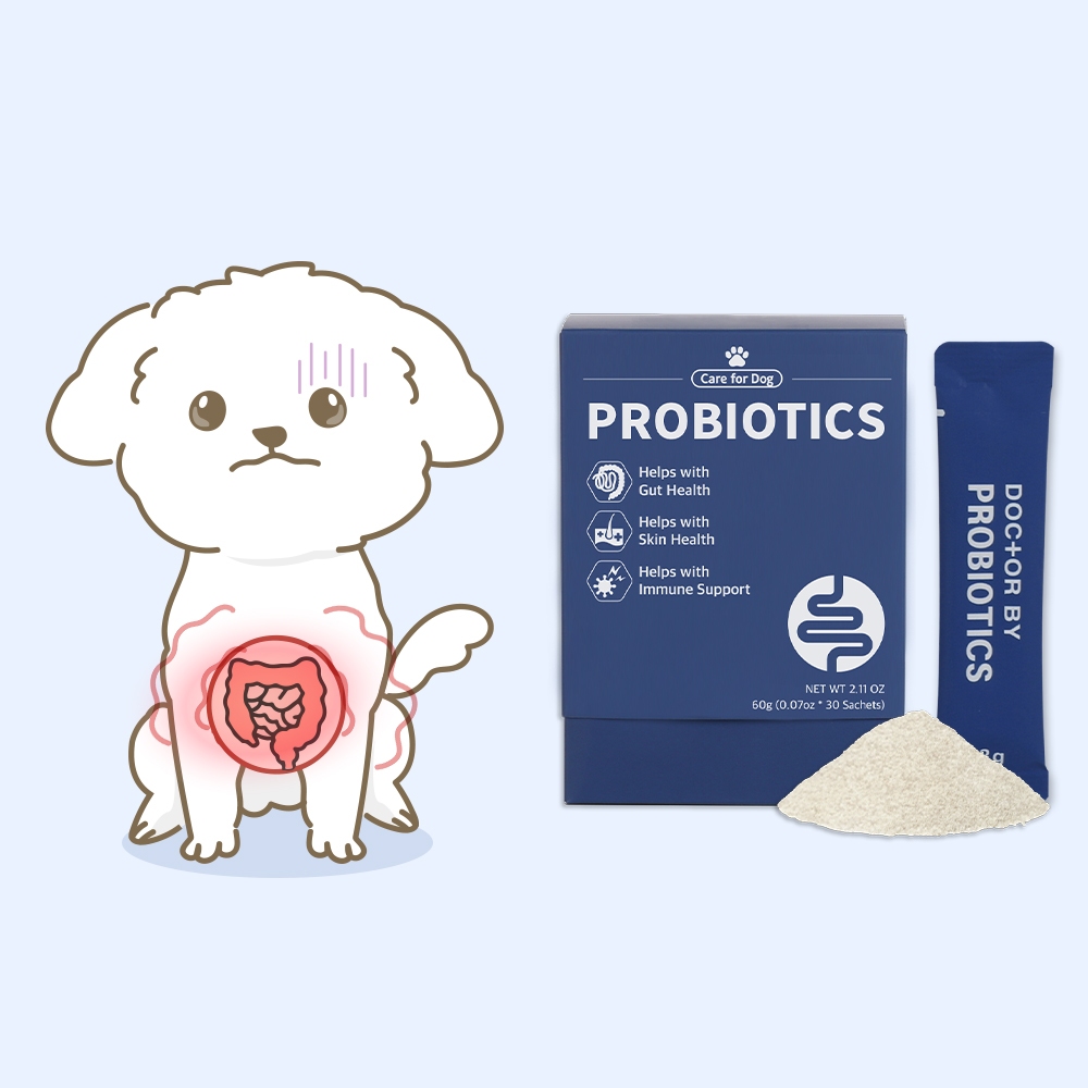 Doctorby PROBIOTICS -อาหารเสริมภูมิคุ้มกันสุขภาพลำไส้แลคโตบาซิลลัสสำหรับสุนัข