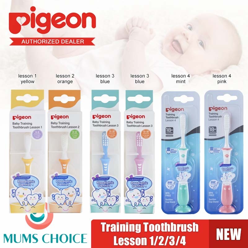 Pigeon Training Toothbrush Lesson