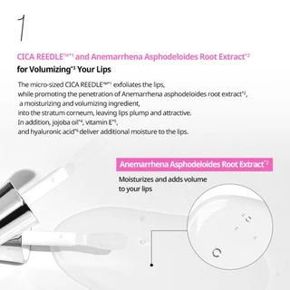 [VT ] Reedle Shot Lip Plumper 4.3g สําหรับลิปกลอส , ดูแลริมฝีปาก [Official Flagship]