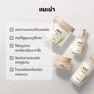 [SKINFOOD Official] รีฟิลโทนเนอร์แพดข้าวเพื่อผิวกระจ่างใส 30ชิ้น / Rice Toner Pad Refill 30ea