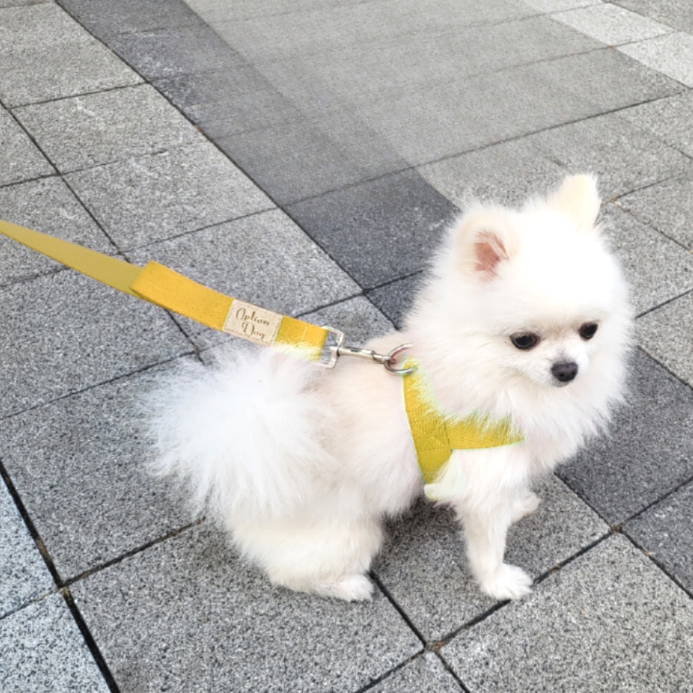 Optiondog k-pet Comfort Control Harness & Leash Set Ultimate Companion สําหรับเดินได ้ อย ่ างง ่ าย