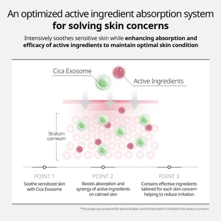[VT] Cica Exosome Ampoule (AZELAIC Acid, PDRN, GLUTATHION, Liposomal Hyaluronic Acid, SQUALANE) [เรือธงอย่างเป็นทางการ]