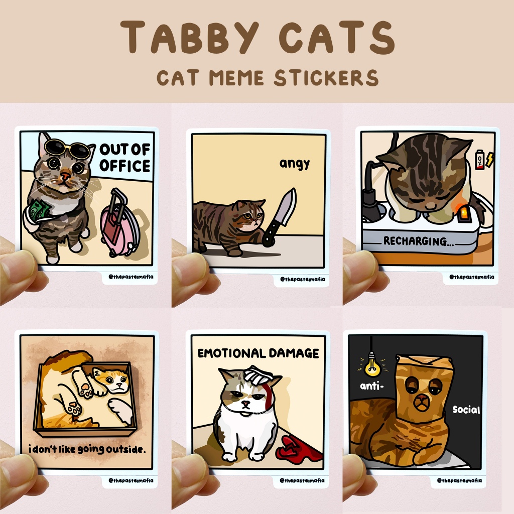 "tabby cat" สติ๊กเกอร์ cat meme