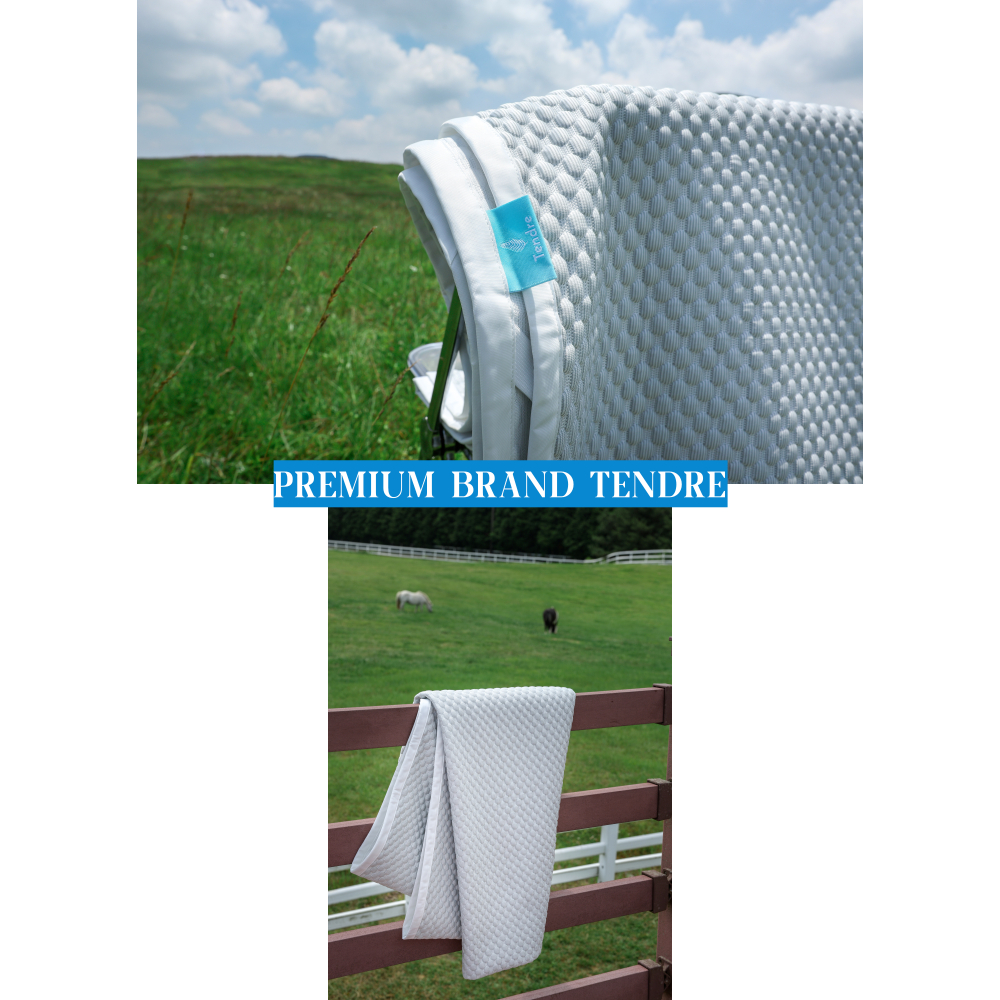 Tendre ChayoJoyo Cooling Pad Summer Cooling Pad