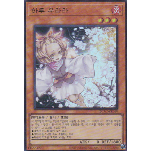 [QCAC-KR050] "Ash Blossom & Joyous Spring" Korean