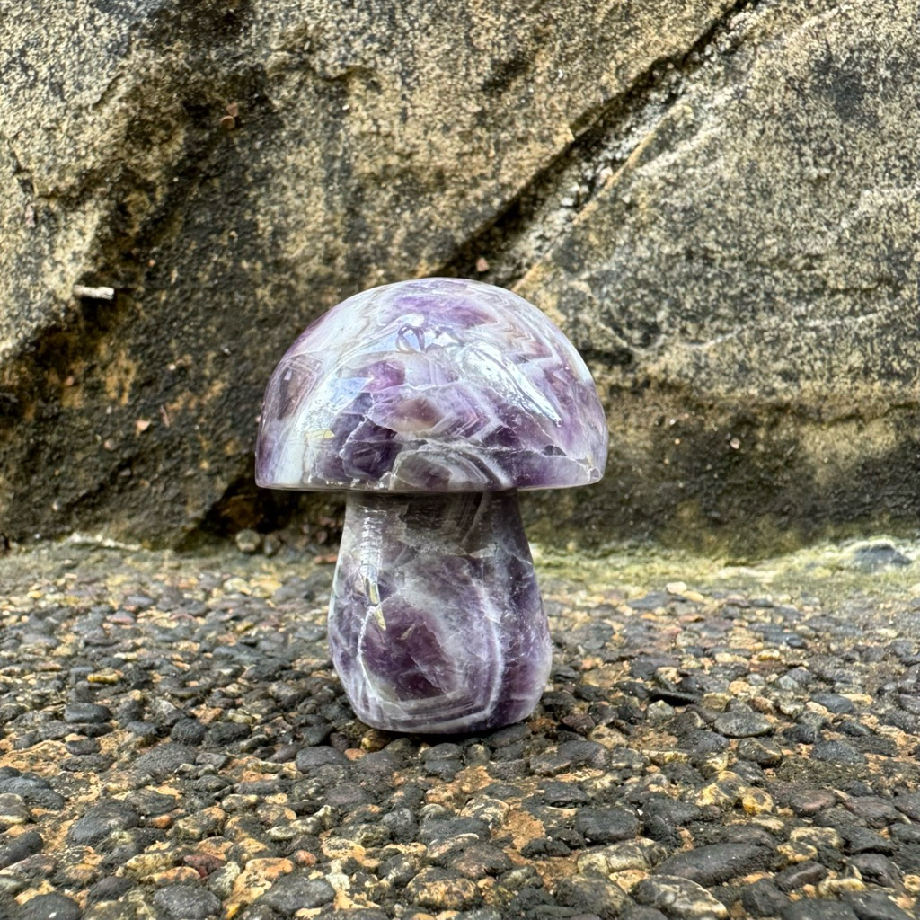 [SG Local] Dream Amethyst เห็ด Dream Dream Dream Dream Dream Crystal