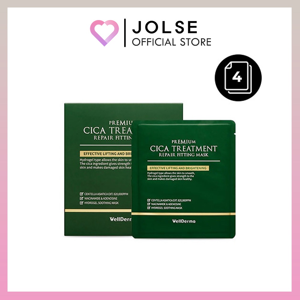 WellDerma Premium Cica Treatment Repair Fitting Mask 4ea