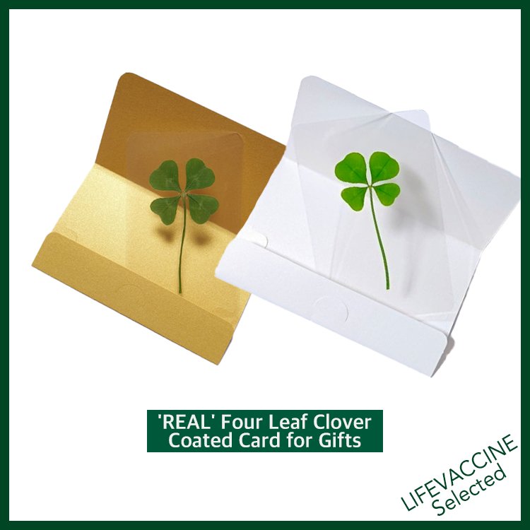 ‘REAL’  ใบโคลเวอร์ 4 แฉก CLOVER CARD ชุดของขวัญ
