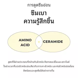 [CNP] ซีเอ็นพีโพลิสทรีทเม้นท์แอมปูล Essense 150ml / 300ml