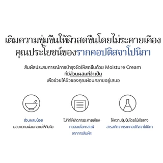 [Pyunkang Yul] มอยส์เจอร์ครีม 50ml / 100ml