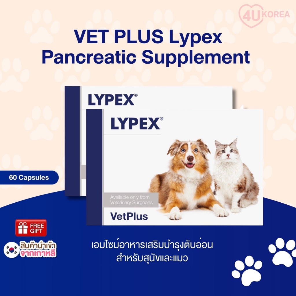 VET PLUS Lypex Pancreatic อาหารเสริม 60 แคปซูล / สําหรับสุนัขและแมว / K-PET