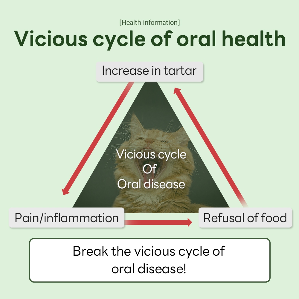 [Doctor By CAT ORA HEALTH] Dental Care Tartar Remover ผลิตภัณฑ์ทําความสะอาดฟัน - รูปที่ 4