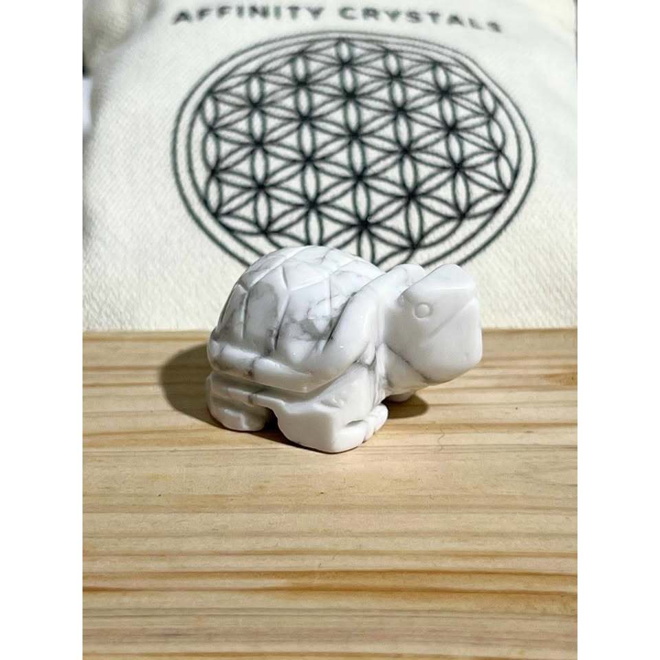 [AffinityCrystals]Crystal_Tortoises_Howlite