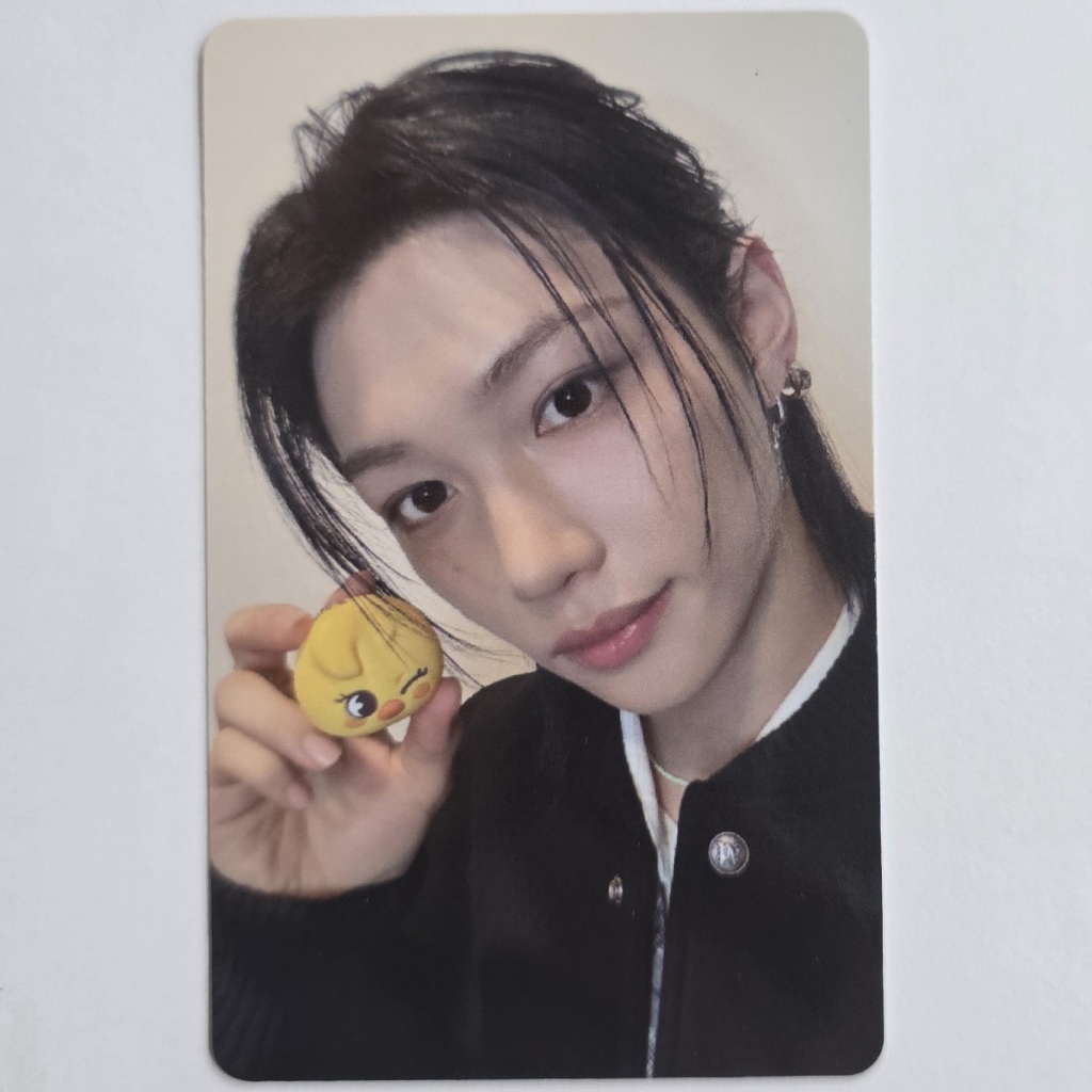 Felix ชุดโฟโต้การ์ดอย่างเป็นทางการ Stray Kids Skzoo Tamagotchi & Case