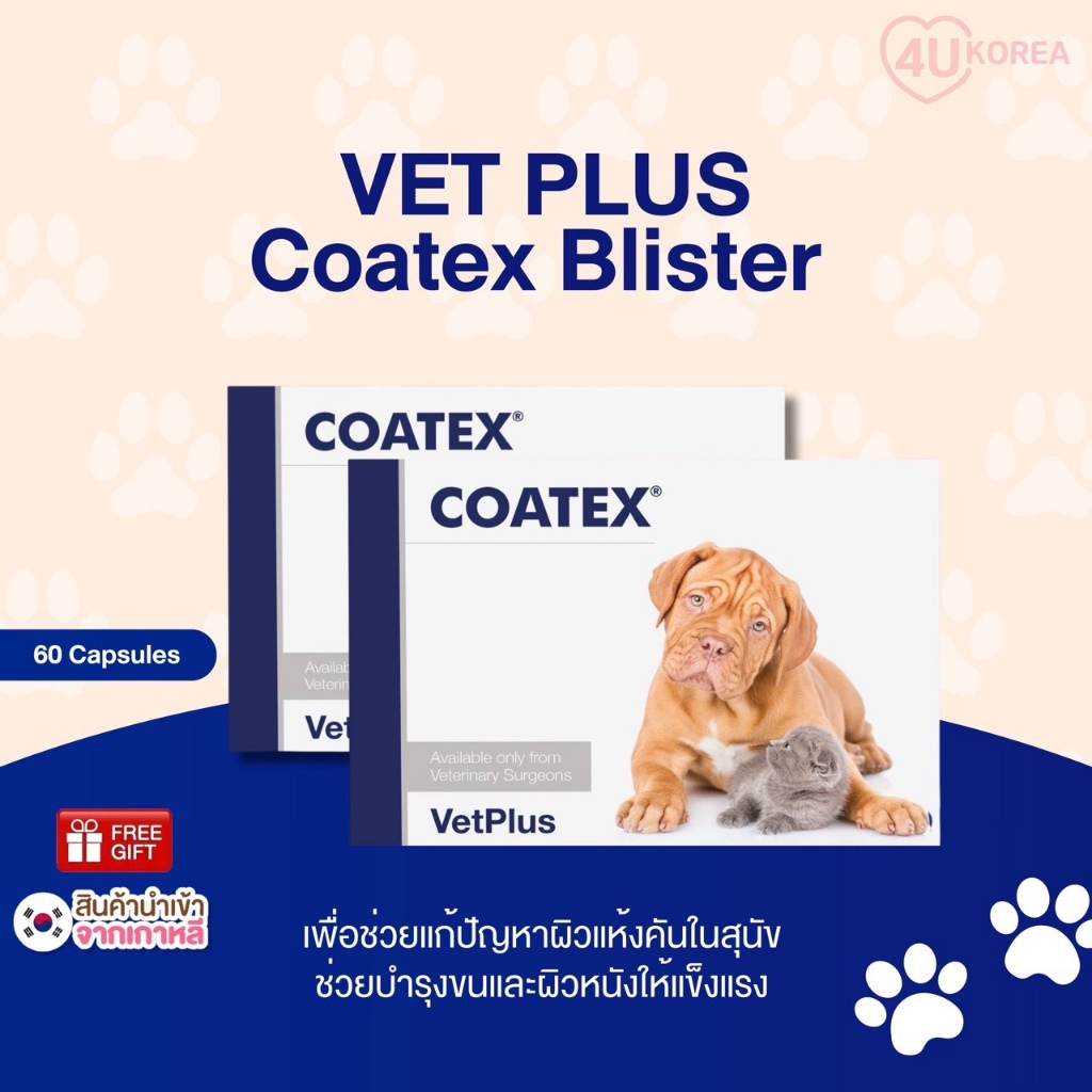 VET PLUS Coatex Blister ผลิตภัณฑ์เสริมอาหาร 60 แคปซูล / อาหารเสริมบํารุงผิวสําหรับสุนัข / K-PET