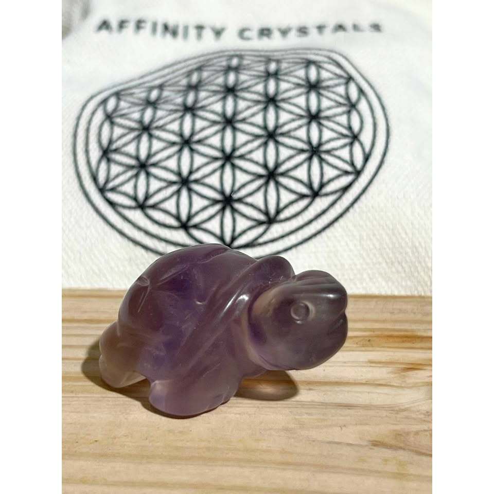 [AffinityCrystals]Crystal_Tortoises_Yttriumฟลูออไรต์