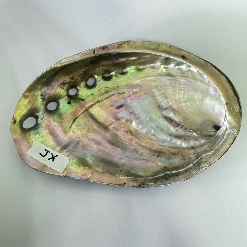 [OUTLET] ชามทําความสะอาดหอยเป๋าฮื้อทําเครื่องหมายลงเนื่องจากแตก PLEASE PURCHASE IF COMFORTABLE - COD